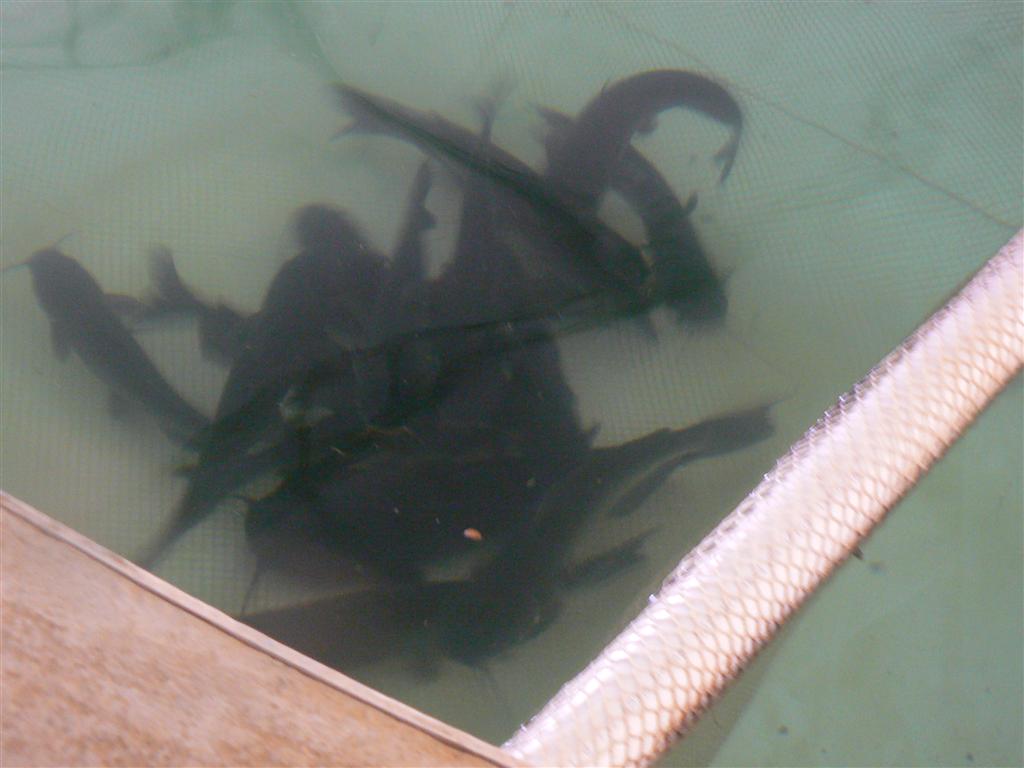 The Tank06-to the elevator.JPG